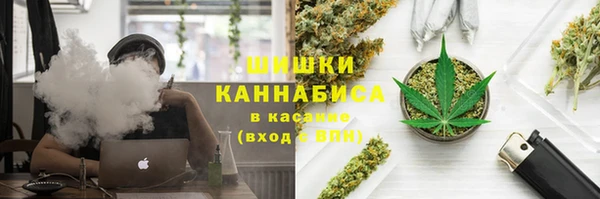 крисы Арсеньев