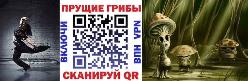МЕГА ссылки  что такое наркотик  Белокуриха  Псилоцибиновые грибы ЛСД 